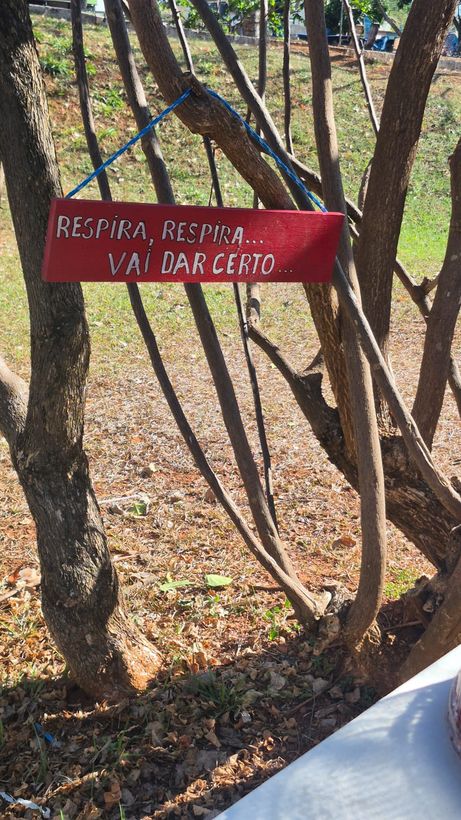 Plaquinha vermelha pendurada numa árvore com a frase Respira, respira, vai dar certo
