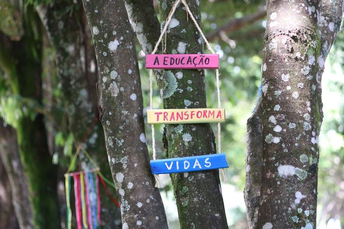 Placas penduradas em árvore com a frase A educação transforma vidas