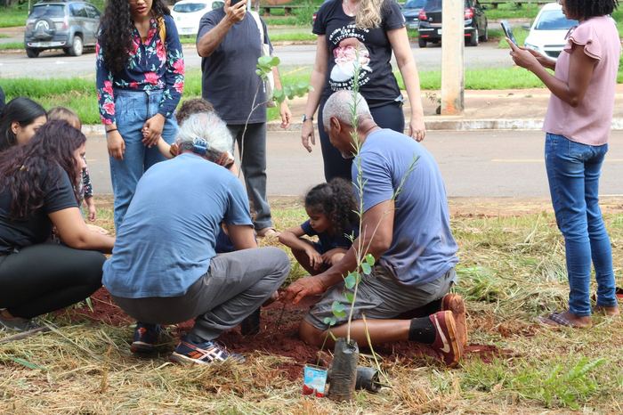 Grupo ajoelhado plantando uma muda juntos, incluindo uma criança