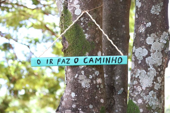 Placa pintada em tronco de árvore com a frase O ir faz o caminho