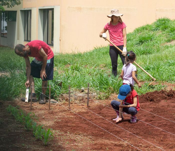 Adultos e crianças plantando em fileiras no canteiro