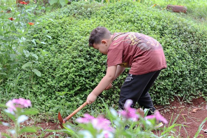 Menino usando enxada entre flores no canteiro
